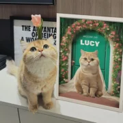 custom pet portrait-pixar style