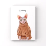 custom pet portrait-pixar style