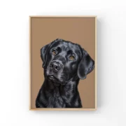 custom pet portrait-illustration style