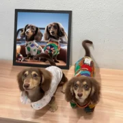 custom pet portrait-pixar style